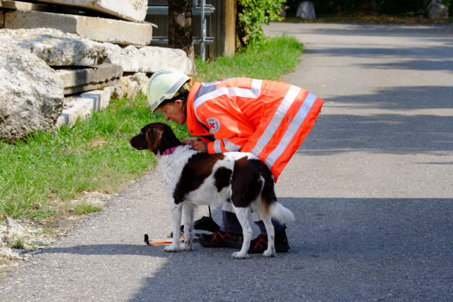 ein Rettungshund steht mit seiner Führerin in Einsatzkleidung auf einem Weg und schaut aufmerksam ins Gelände