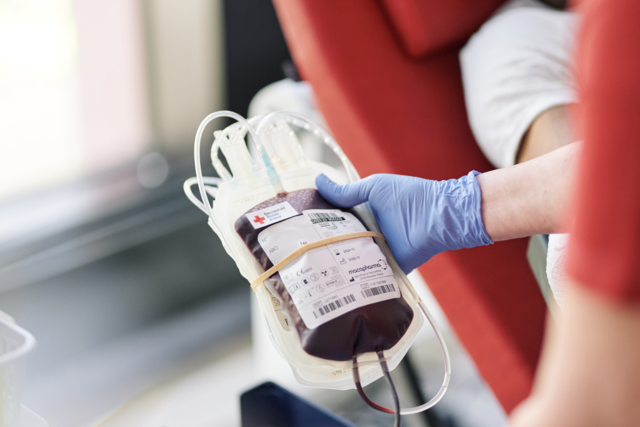 Ein Beutel mit frisch gespendetem Blut
